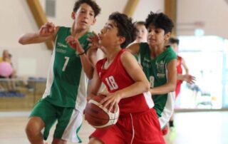 WhatsApp Image 2026-02-18 at 17.18.19